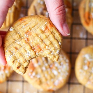 picture of hand holding pumpkin butter cookie