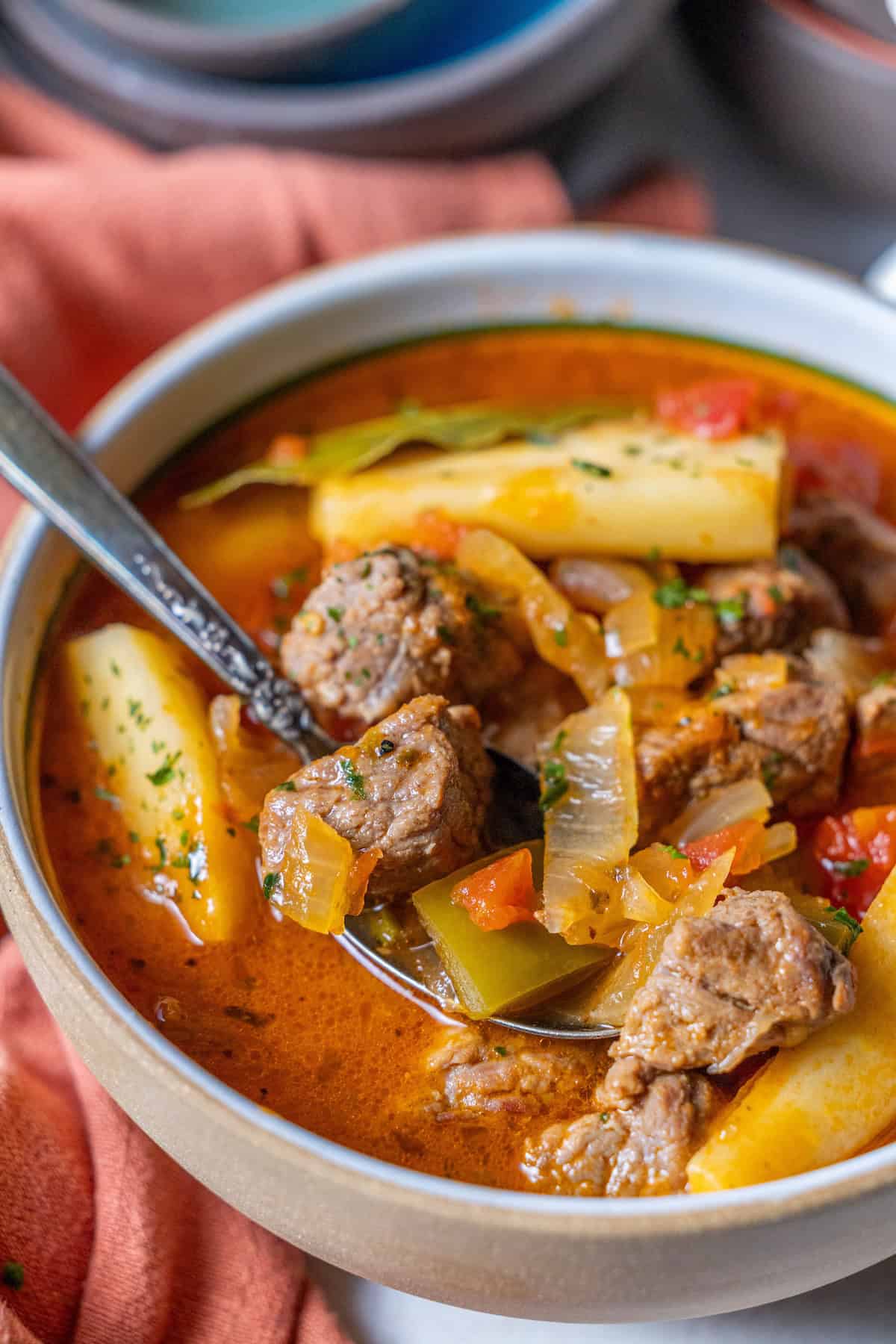 A hearty bowl of stew features tender beef chunks, potatoes, tomatoes, and onions, garnished with herbs and parsnip. A spoon rests inside, inviting you to savor each comforting bite.