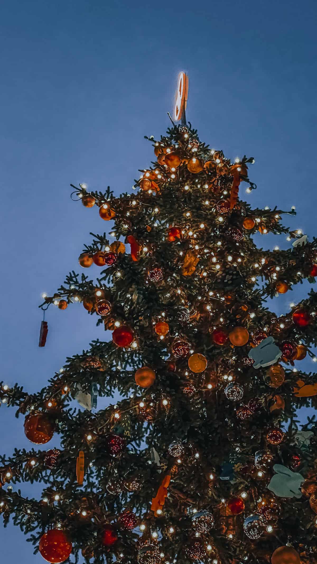 A decorated Christmas tree adorned with lights and ornaments stands vibrant against the dark sky, capturing the festive spirit of the Bolzano Christmas market.