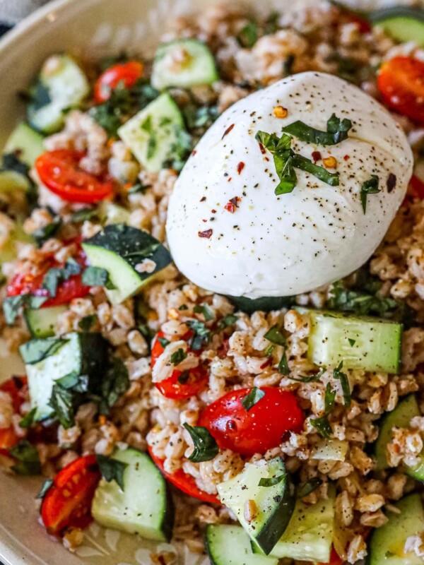 picture of farro salad in a bowl with burrata on top