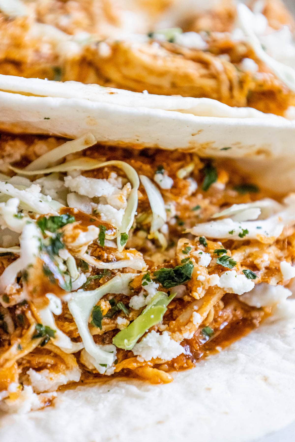 shredded chicken tinga in a tortilla with chopped cilantro, cabbage, and crumbled cotija cheese on top