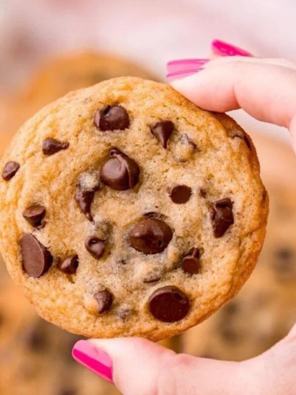 hand holding a chocolate chip cookie