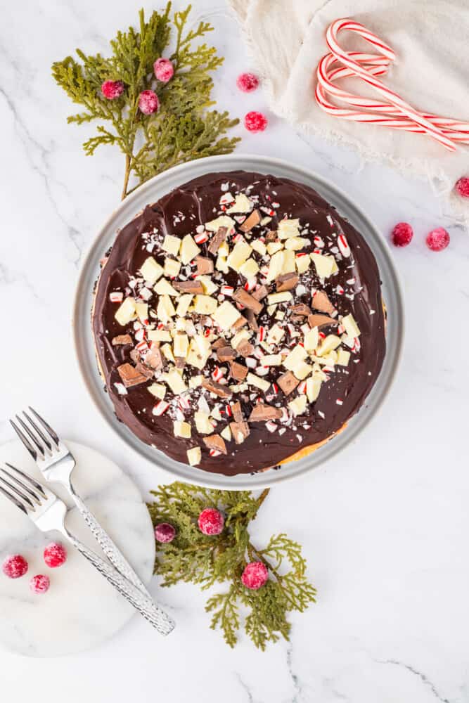 A chocolate peppermint pie with candy canes on top.