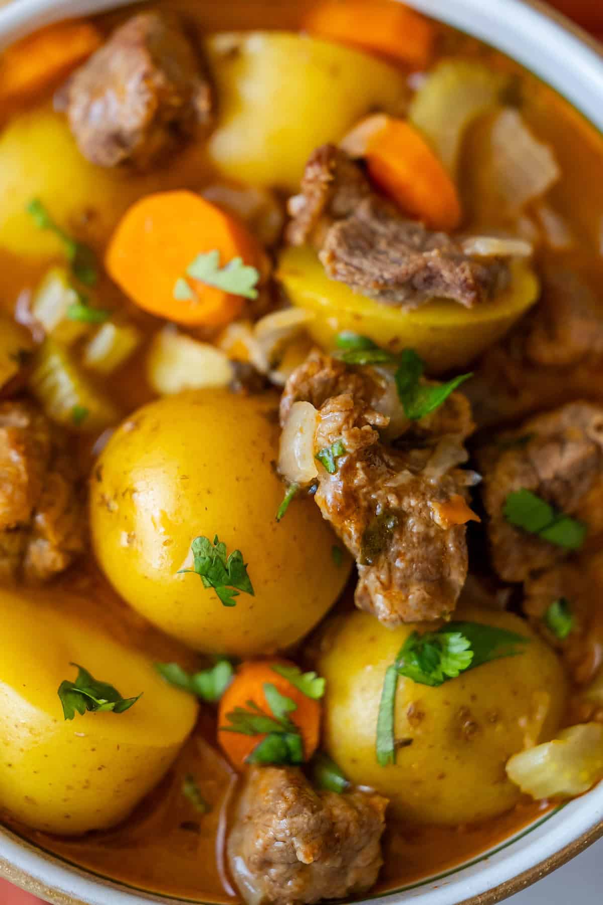         Close-up of a bowl filled with a hearty beef stew, showcasing chunks of beef, potatoes, carrots, celery, and a rich broth. This classic recipe is garnished with fresh herbs for an inviting touch.