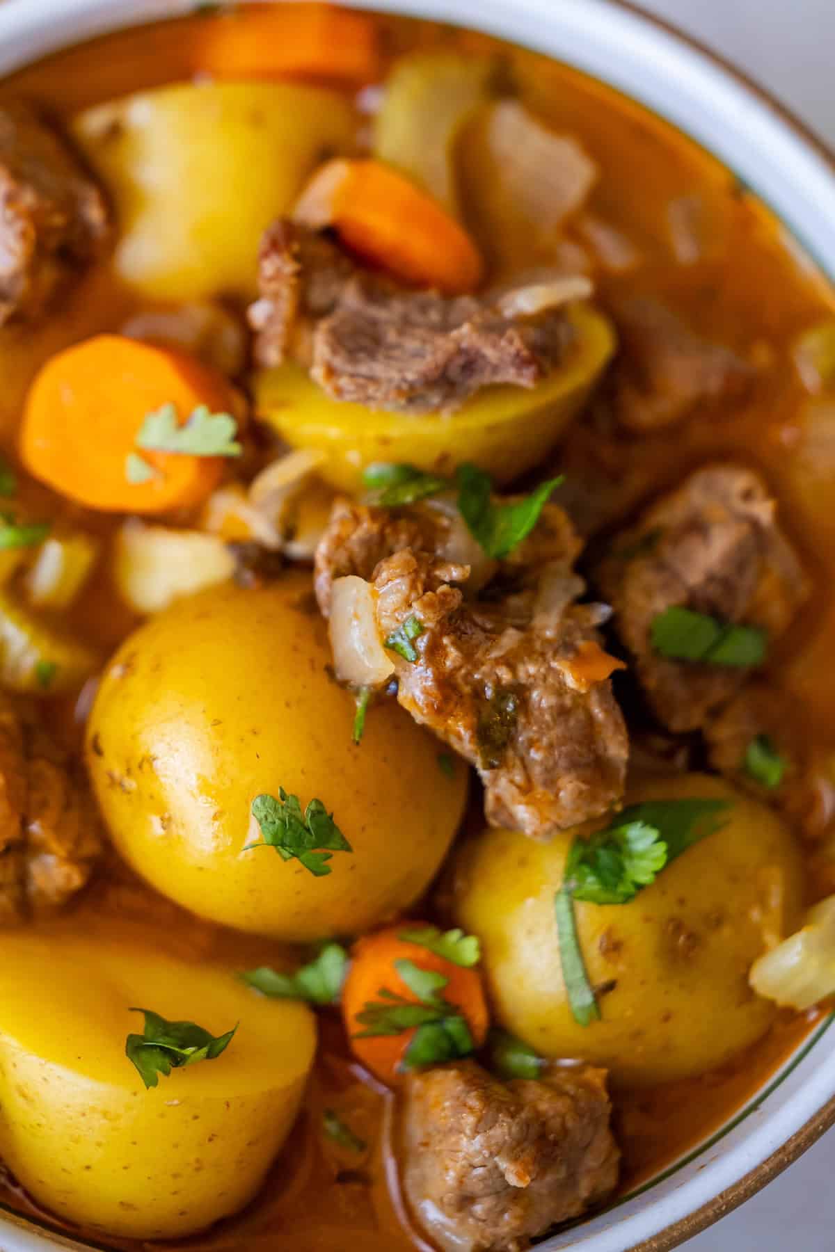 Close-up of a hearty classic beef stew with chunks of beef, potatoes, carrots, and garnished with fresh parsley.