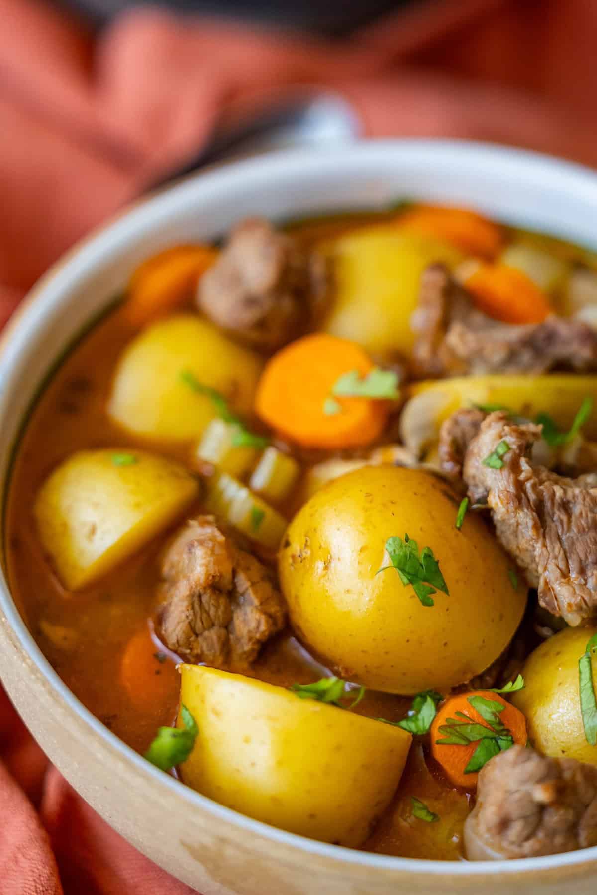 A bowl of hearty *Classic Beef Stew* containing chunks of beef, potatoes, carrots, and garnished with parsley.