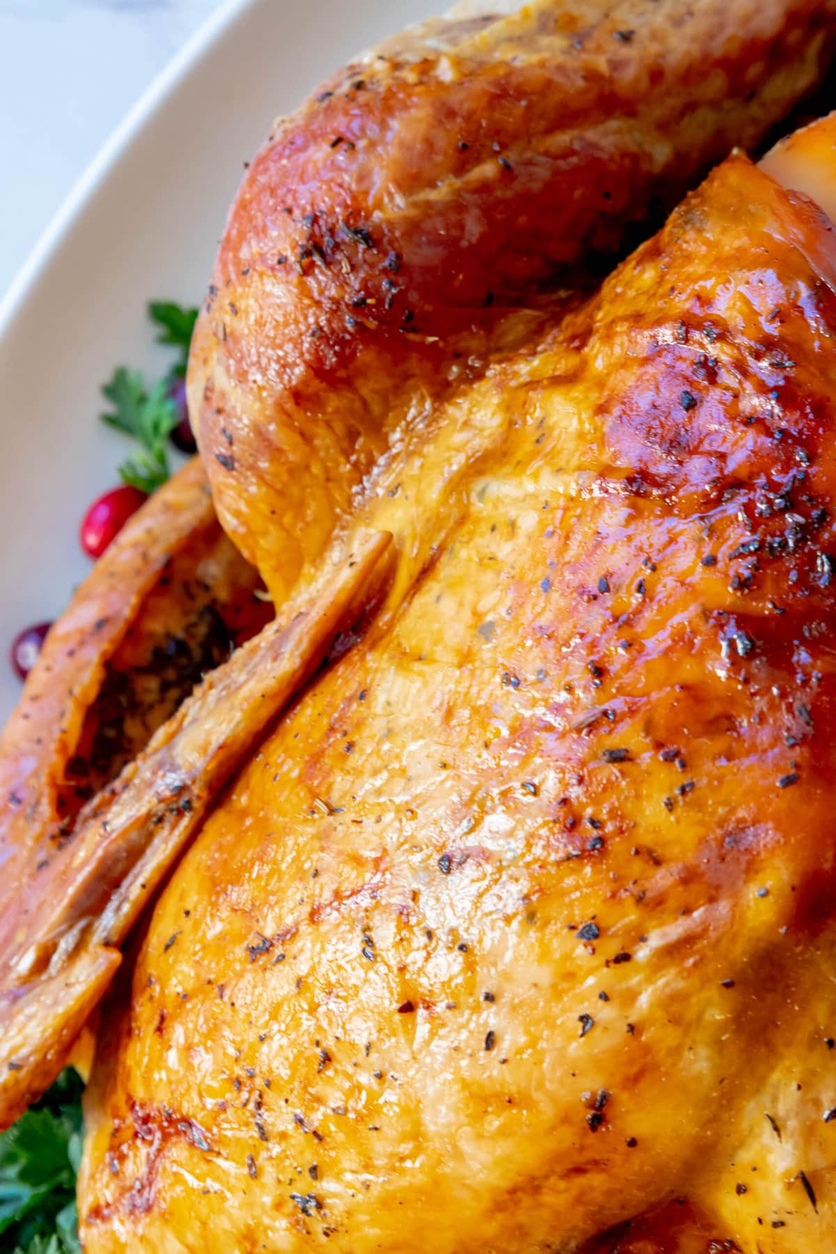 Roasted turkey with dry brine seasoning served on a white plate with cranberries.