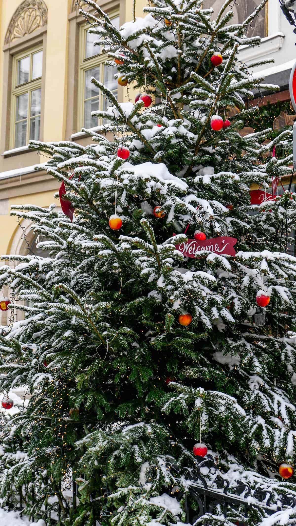 A snow-covered Christmas tree adorned with red and orange ornaments and a "Welcome" sign stands charmingly at the entrance, reminiscent of the festive spirit found at the Krakow Christmas Market.