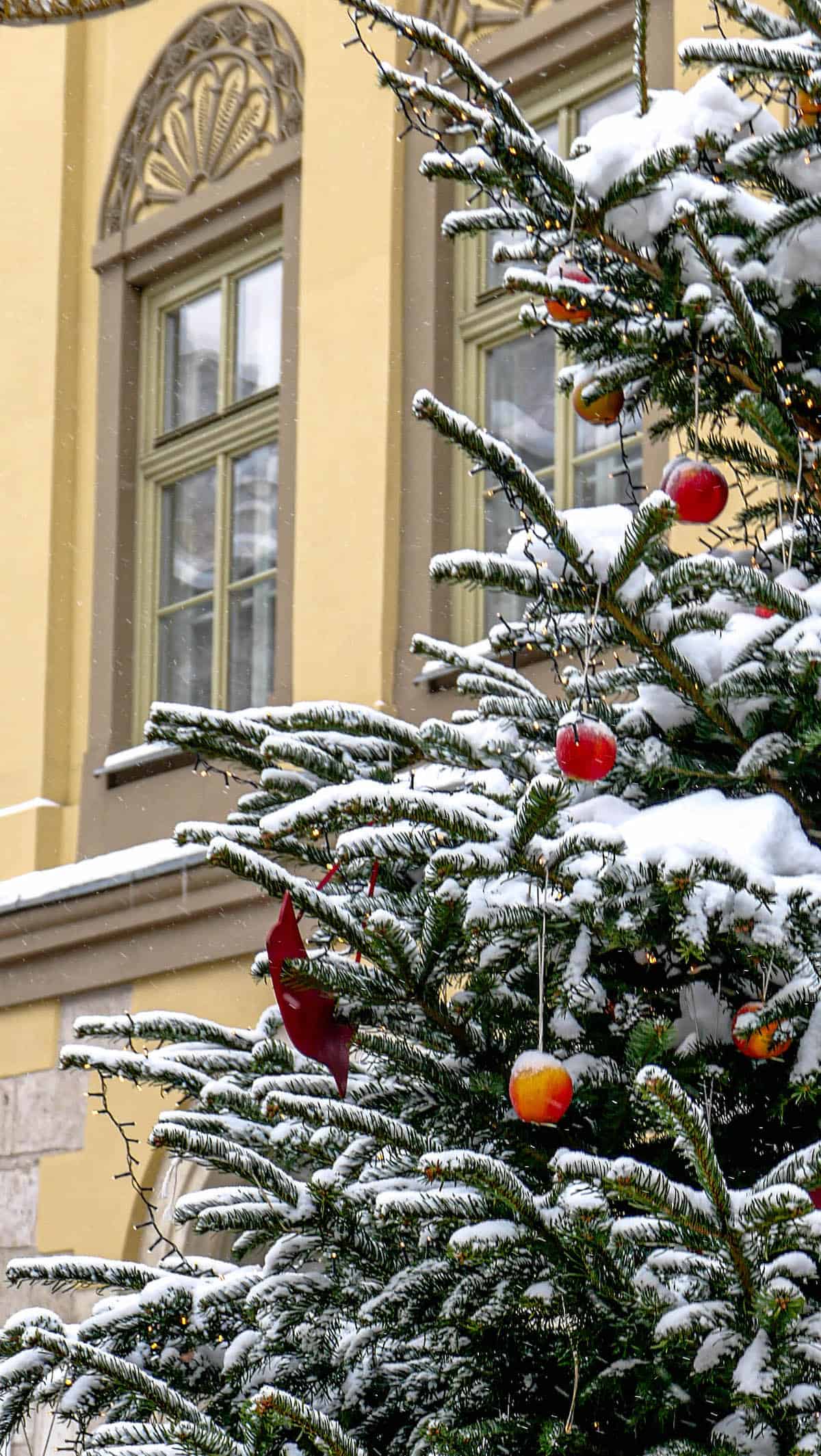 A snow-covered Christmas tree adorned with red and yellow ornaments stands proudly in front of a building with decorative windows, capturing the festive spirit of the Krakow Christmas Market.