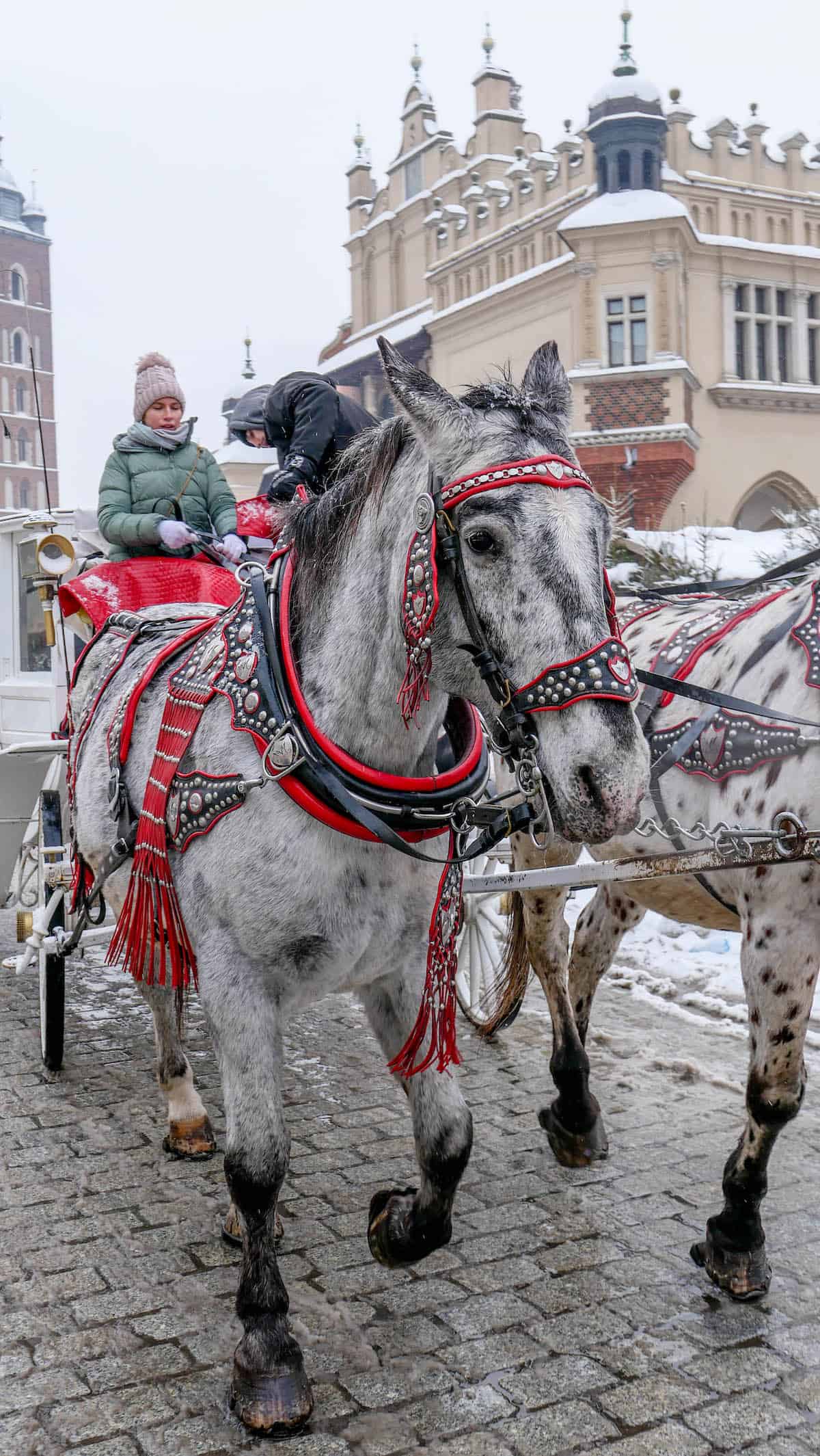 A horse-drawn carriage with ornate harnesses glides over the snow-covered cobblestone street in a historic city. Wrapped in winter clothing, passengers enjoy the charm of Krakow Christmas Market nearby.