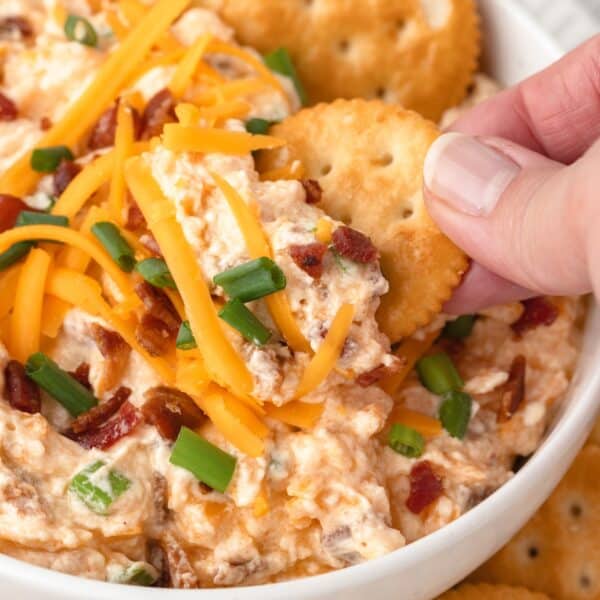 A person holding a bowl of Million Dollar Dip with crackers.