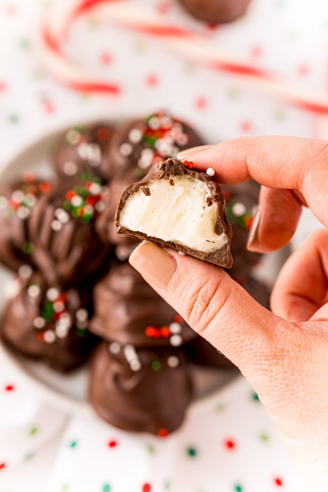 a hand holding a chocolate buttercream candy with green, white, and red sprinkles