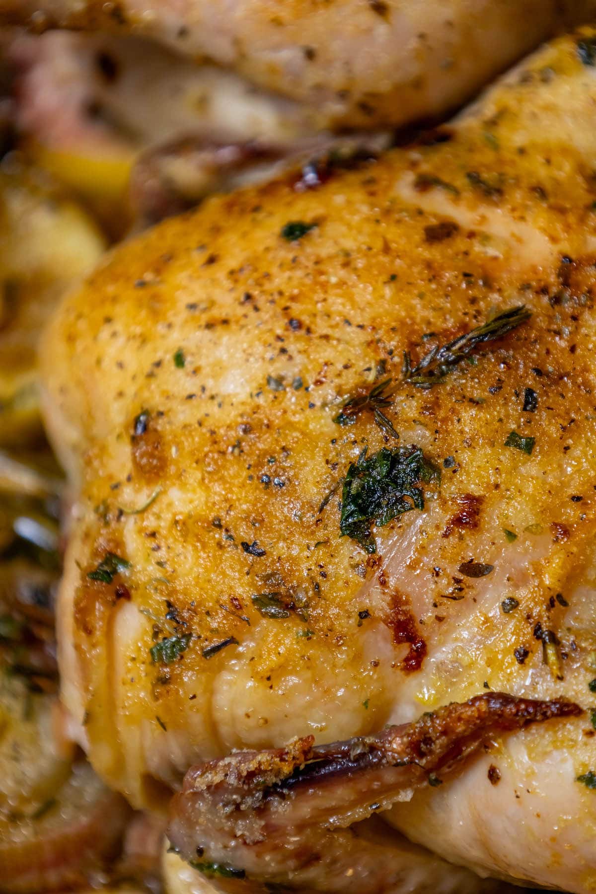 crispy roasted cornish game hen in a square baking dish with lemons, shallots, and garlic